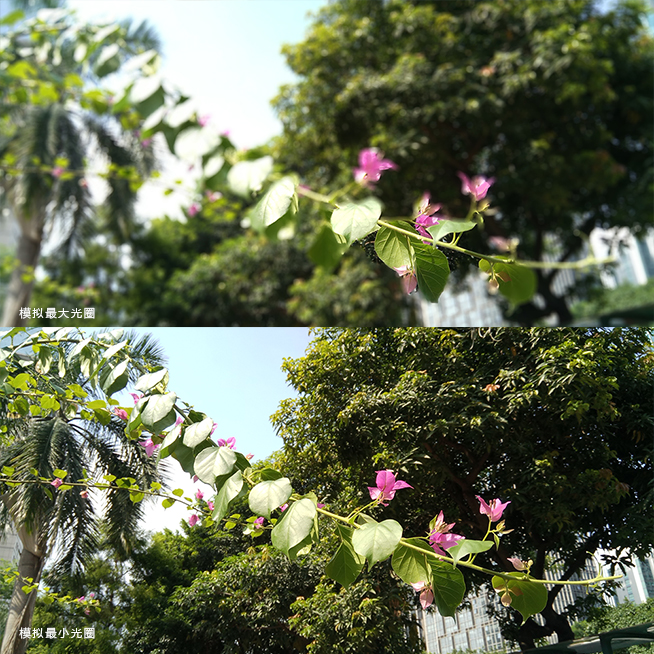 紅米Pro/魅藍(lán)E該買誰(shuí)：千元旗艦四大項(xiàng)全面對(duì)比