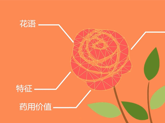 如何認(rèn)出花名?微軟識(shí)花一鍵搞定