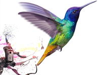 大戰(zhàn)在所難免 努比亞再推拍照強(qiáng)機(jī)？