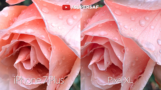 最強之戰(zhàn)：谷歌Pixel XL vs iPhone 7 Plus