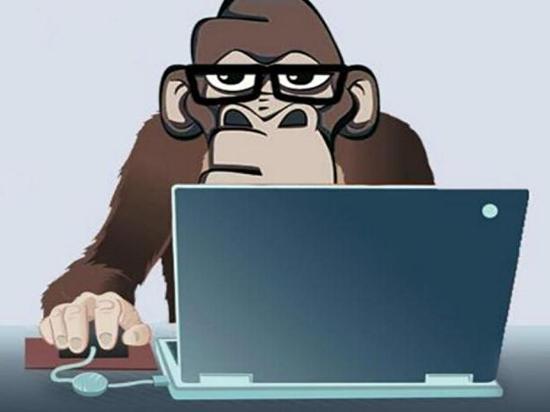 科客呼吁：“1024關(guān)愛瀕危程序猿，從我做起”