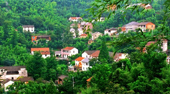 線下渠道的逆襲？OPPO vivo雙雙雄踞 