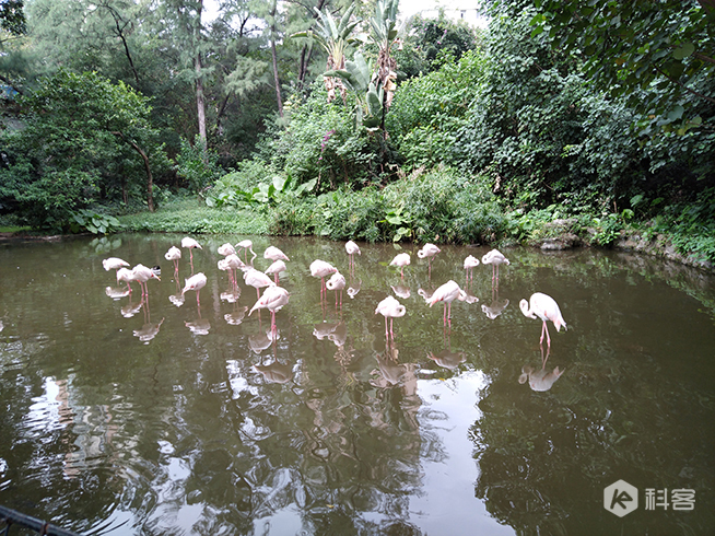 玩味兒十足！努比亞miniS上手體驗