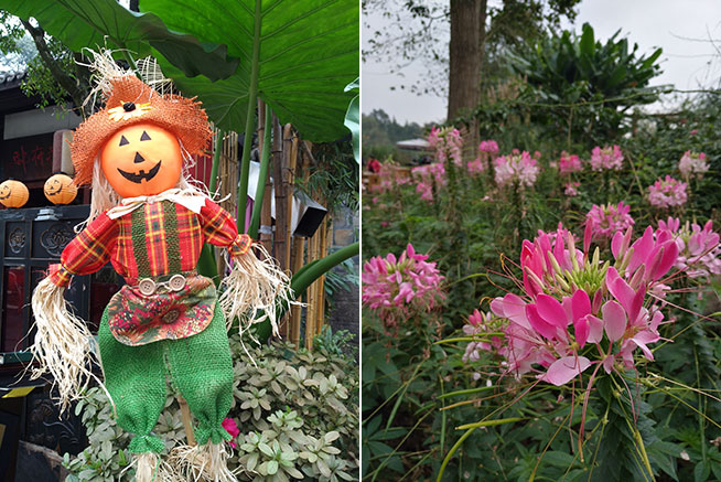 隨手拍出美，華為nova拍攝專項評測