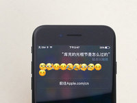 光棍節(jié)拒絕藍瘦！蘋果Siri要給單身狗特殊服務