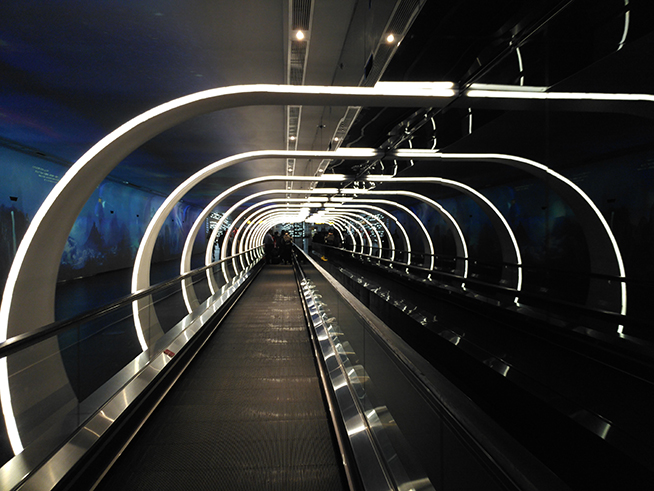 談不上突破 錘子Smartisan M1L相機(jī)體驗(yàn)評(píng)測(cè)