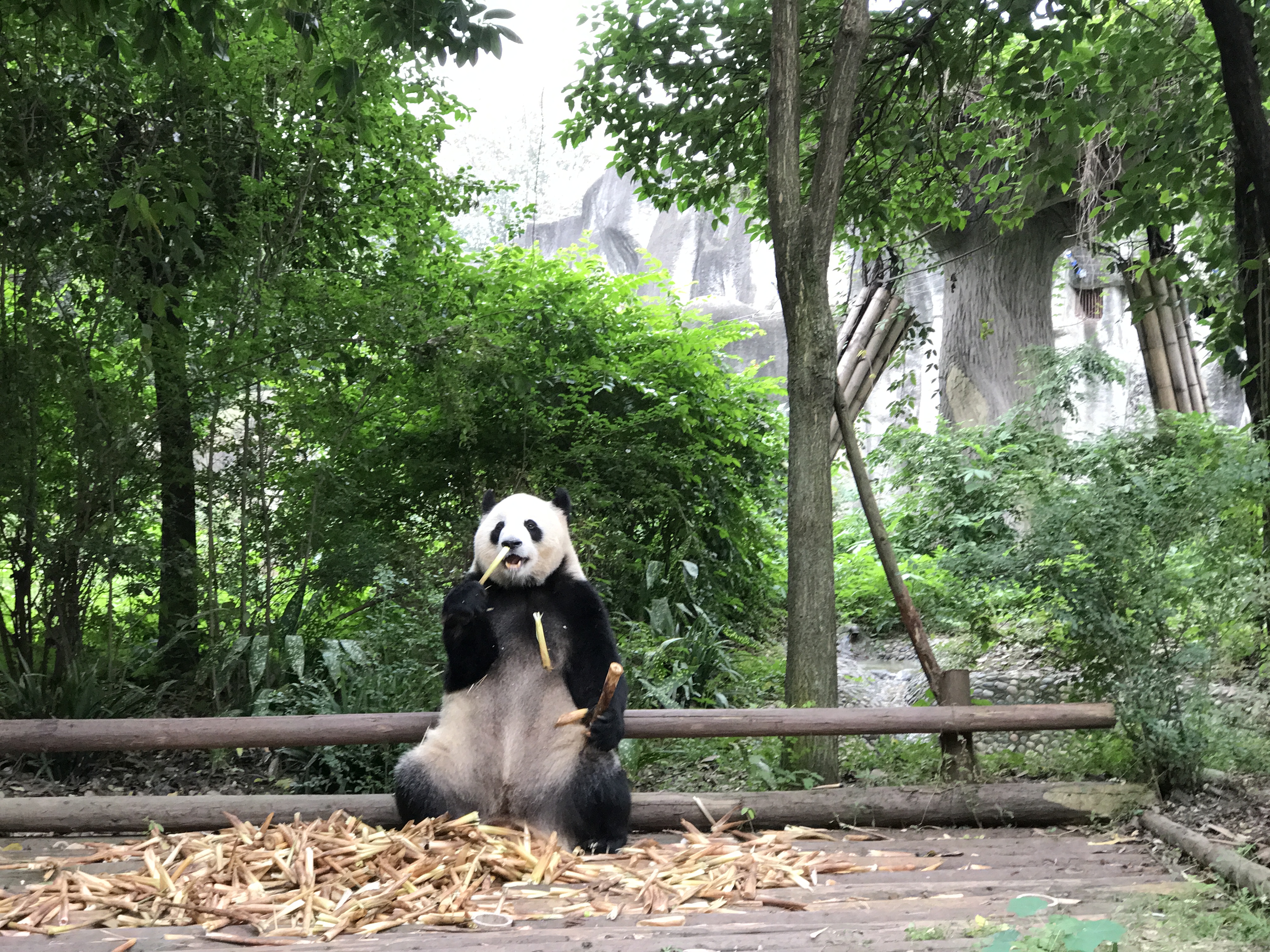 iPhone 7 Plus兩個(gè)月體驗(yàn)：老司機(jī)變藝術(shù)范！