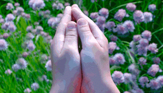 阿里谷歌成冤大頭？Magic Leap CEO怒斥外界質(zhì)疑