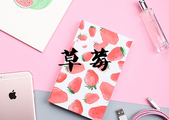 漫漫春運(yùn)路 這些移動(dòng)電源讓歸途不再枯燥無味