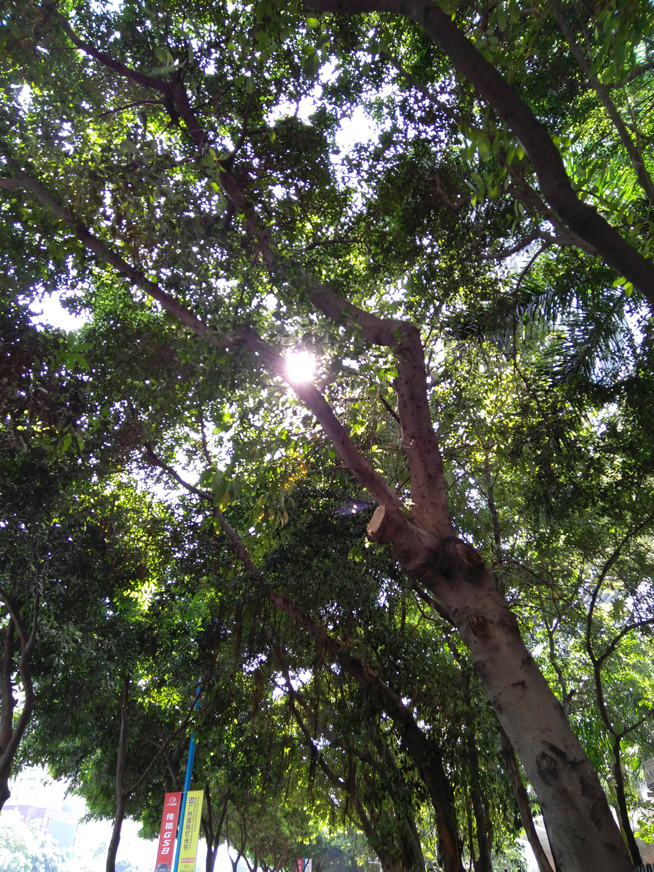 全面屏手機就該這樣設計 聯(lián)想ZUK Edge體驗評測