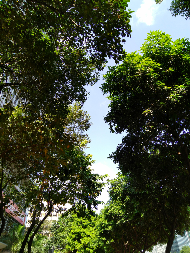 全面屏手機就該這樣設計 聯(lián)想ZUK Edge體驗評測