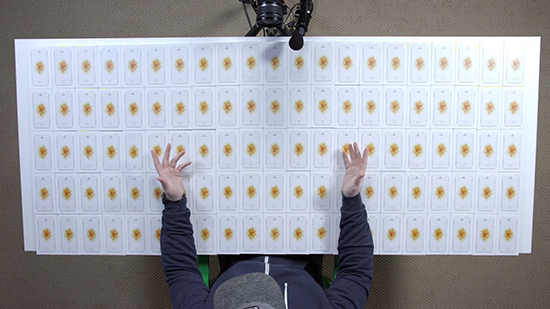 疊疊樂怎樣玩更刺激？試試用100臺(tái)iPhone SE吧