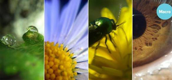 一張不起眼的貼膜 就可讓你變殿堂級攝影大師    