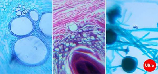 一張不起眼的貼膜 就可讓你變殿堂級攝影大師    