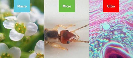 一張不起眼的貼膜 就可讓你變殿堂級攝影大師    