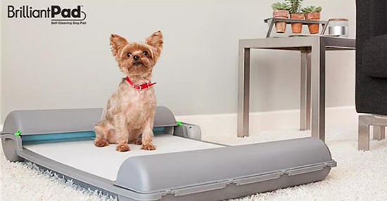 養(yǎng)寵物更省心  首款汪星人智能清潔除臭廁所