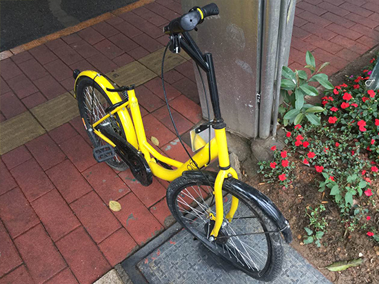 ofo小黃共享單車慘死百態(tài) 國(guó)民素質(zhì)哪里尋？