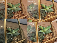 熱騰騰的機(jī)皇拍照對(duì)決！三星S8和iPhone 7你選誰(shuí)