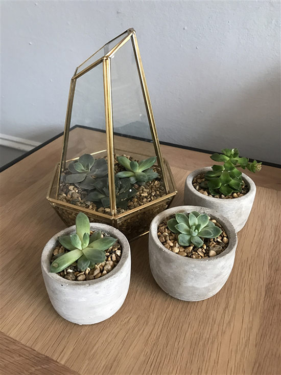 熱騰騰的機皇拍照對決！三星S8和iPhone 7你選誰