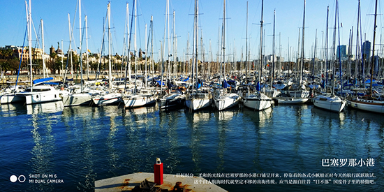 蘋果同款雙攝+2499元起！小米手機(jī)6正式發(fā)布