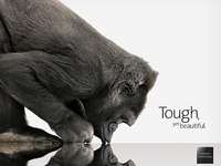 大手筆！蘋果向大猩猩玻璃供應(yīng)商康寧投資2億美元