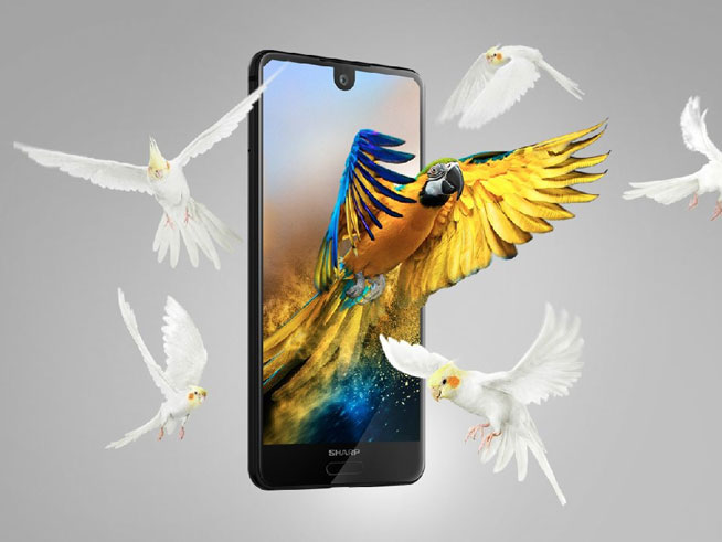 搶先蘋果推異形全面屏，夏普AQUOS S2驚喜發(fā)布