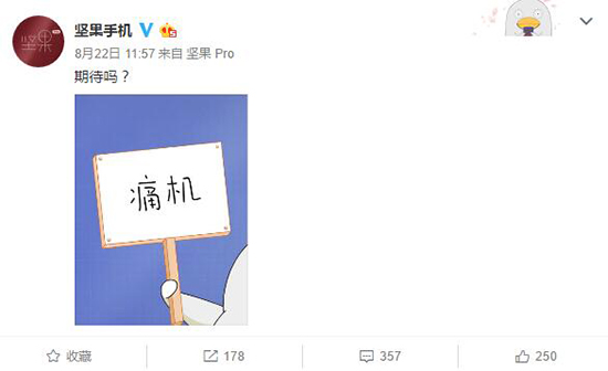 定制機(jī)玩上癮了？堅(jiān)果Pro銀魂版今夜降臨