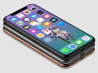 蘋果iPhone X定妝照出爐！搶到腮紅金新配色就是賺