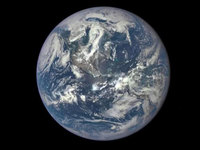 2100年地球面臨第六次物種滅絕危機(jī)