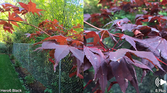 視頻拍攝誰更好？GoPro Hero6對比iPhone 8 Plus