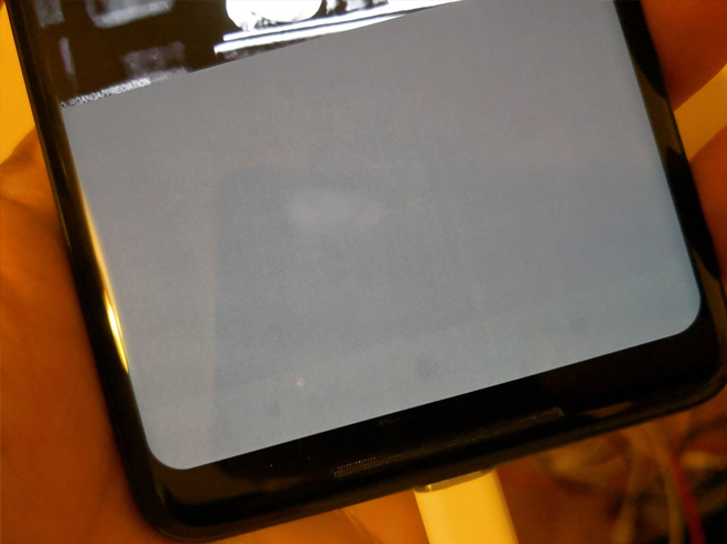 LG OLED屏幕讓Pixel 2 XL難堪：一周即燒屏，媒體用戶都吐槽