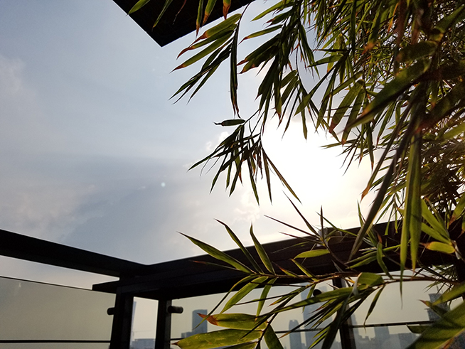 三星Note8拍照詳細(xì)測試：硬件配置旗艦但軟件還有提升空間