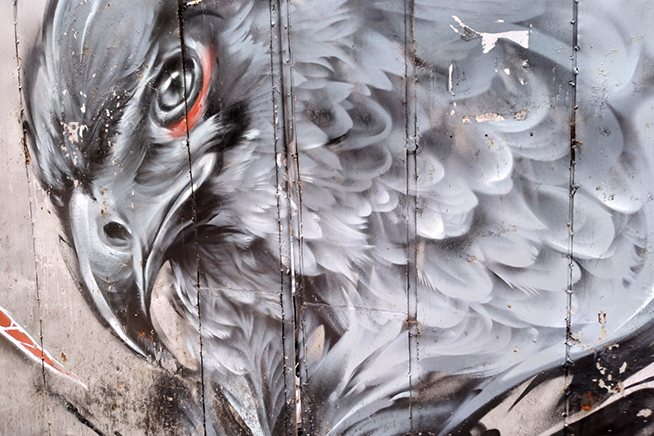 諾基亞7體驗(yàn)評測：卸掉情懷重新上路，不一樣的安卓味道