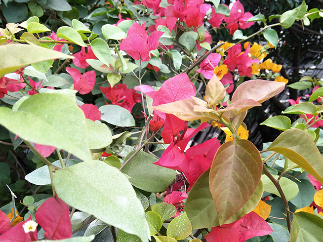 360 N6 Pro上手體驗：可能是迄今最美的N系列機型