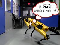 SpotMini機(jī)械狗相互合作: 大黃來(lái)幫我開(kāi)下門(mén), 好咧!