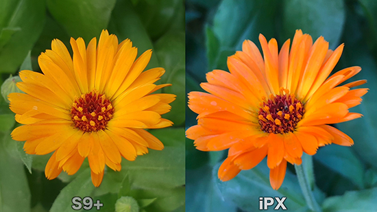 三星S9+對(duì)比iPhone X：拍攝差距明顯, 但雙光圈優(yōu)勢(shì)在哪?