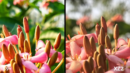 三星S9+索尼XZ2拍照對比：韓式艷麗與日系素雅的決擇