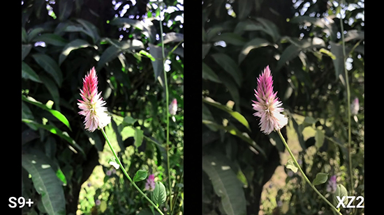 三星S9+索尼XZ2拍照對比：韓式艷麗與日系素雅的決擇