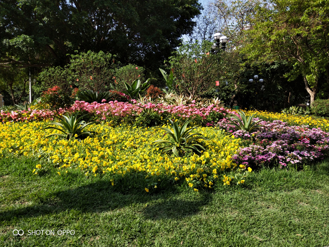 OPPO R15夢(mèng)鏡紅體驗(yàn)評(píng)測：顏值再升級(jí) 夜拍更出眾