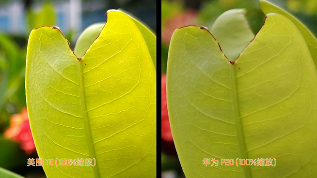 美圖T9華為P20拍照對比：被美顏?zhàn)耘牡⒄`了拍照實(shí)力派
