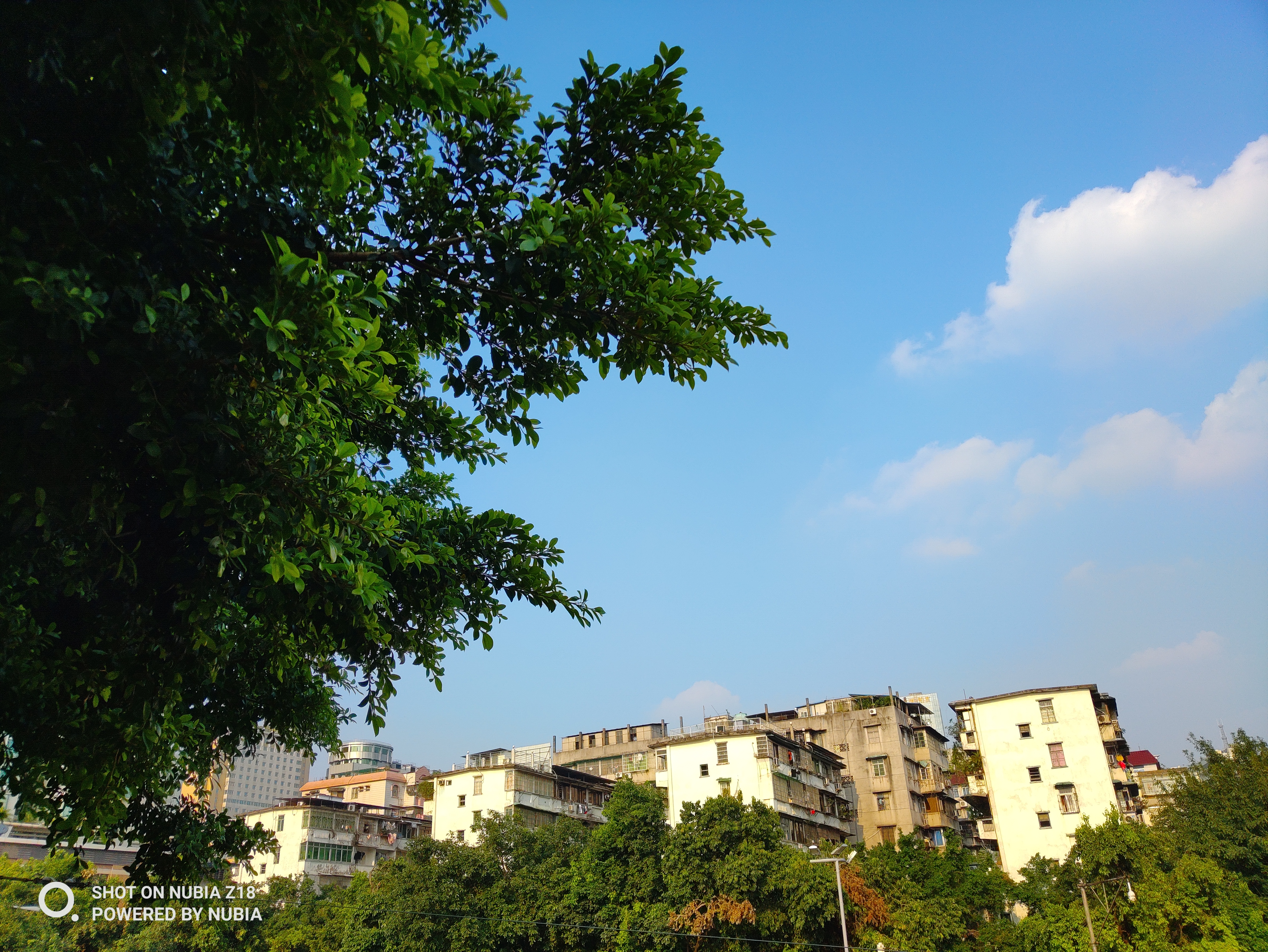 努比亞Z18視頻評測：顏值出色 AI相機(jī)出眾