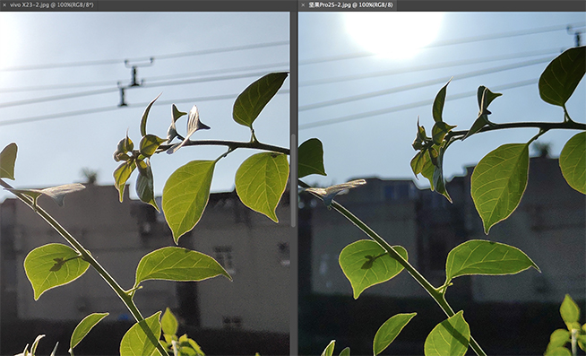 vivo X23堅果Pro 2S拍照對比：差價1500元 但差距不明顯