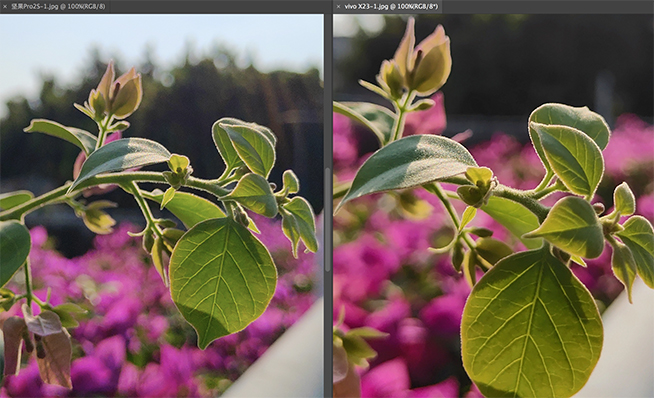 vivo X23堅果Pro 2S拍照對比：差價1500元 但差距不明顯