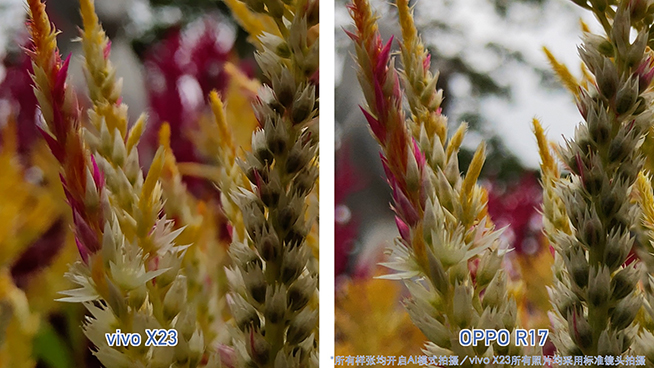 OPPO R17對(duì)比vivo X23:拍照清晰度與夜景表現(xiàn)完美超越X23