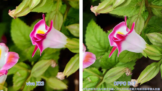 OPPO R17對(duì)比vivo X23:拍照清晰度與夜景表現(xiàn)完美超越X23