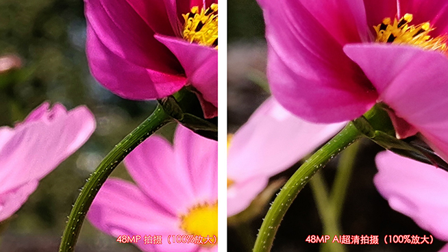 榮耀V20實(shí)拍樣張測試：4800萬像素超清單攝 成像很有競爭力