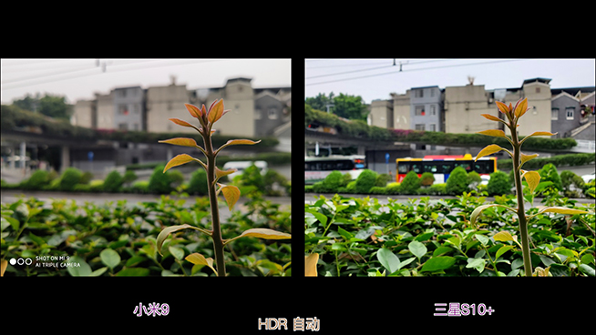 三星S10+小米9相機(jī)對比：小米虛化更好 但綜合表現(xiàn)三星明顯占優(yōu)