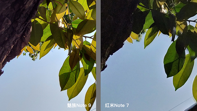 熱門千元機對比：紅米Note 7外觀取勝，魅族Note 9拍照更好