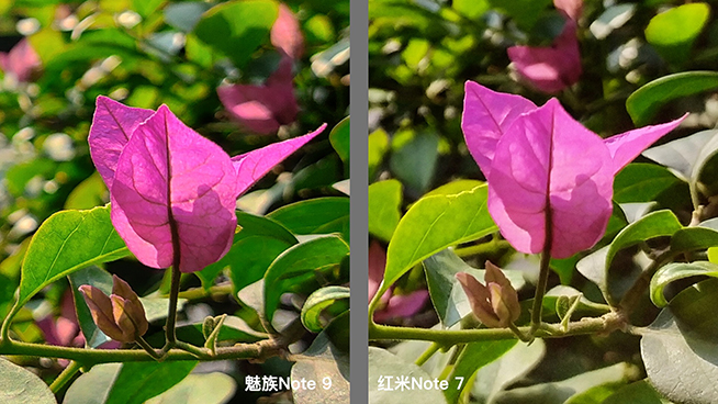 熱門千元機對比：紅米Note 7外觀取勝，魅族Note 9拍照更好