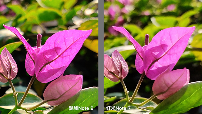 熱門千元機對比：紅米Note 7外觀取勝，魅族Note 9拍照更好